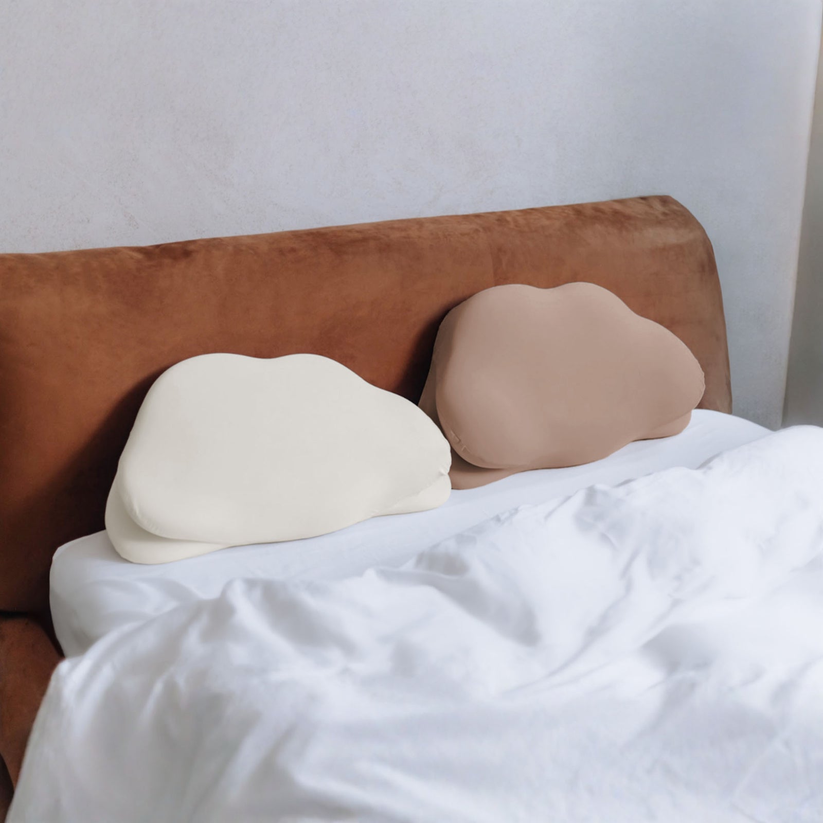 飄飄能量枕 雙人組 (請先加購物車備註枕套需求顏色！)