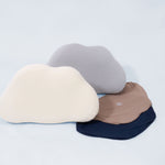 飄飄能量枕 雙人組 (請先加購物車備註枕套需求顏色！)